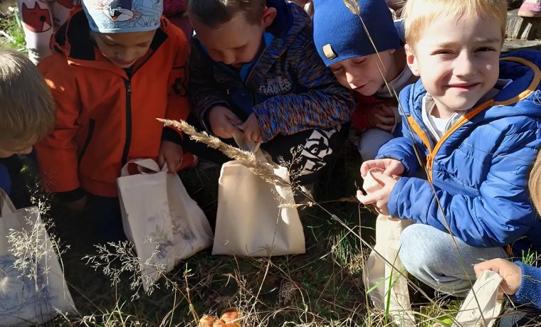 Dzieci z gr 5-latków Dzieci i grzyby