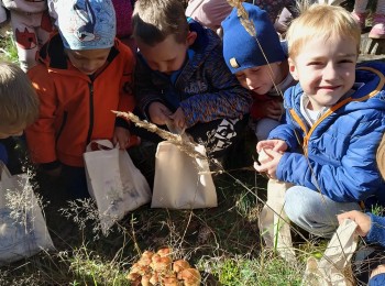 Dzieci z gr 5-latków Dzieci i grzyby